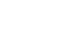 homeicon4